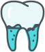 Dentitie Temporara